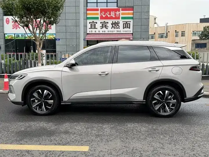 Sea Lion 05 DM-i 2025 DM-i 115KM Honor Model 3