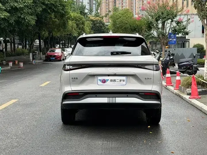 Sea Lion 05 DM-i 2025 DM-i 115KM Honor Model 5