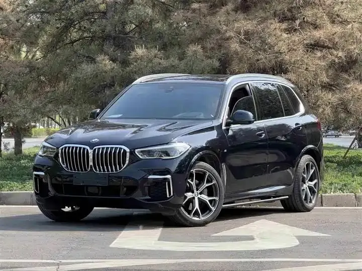 BMW X5 2022 model change xDrive 40Li M sports package - View 1
