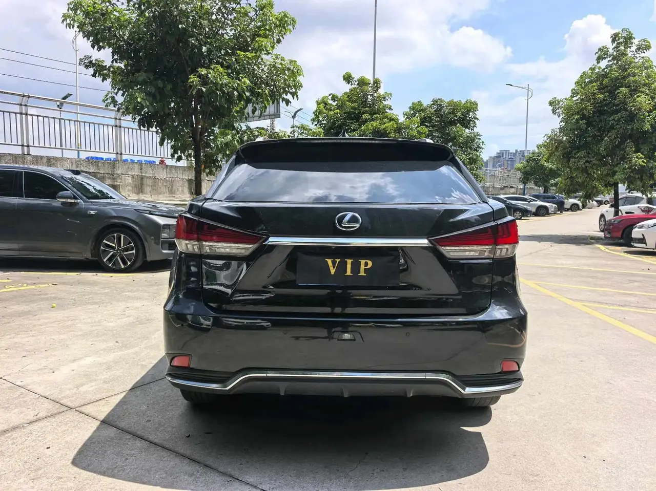Lexus RX 2020 450h four-wheel drive elegant version of the national v 14