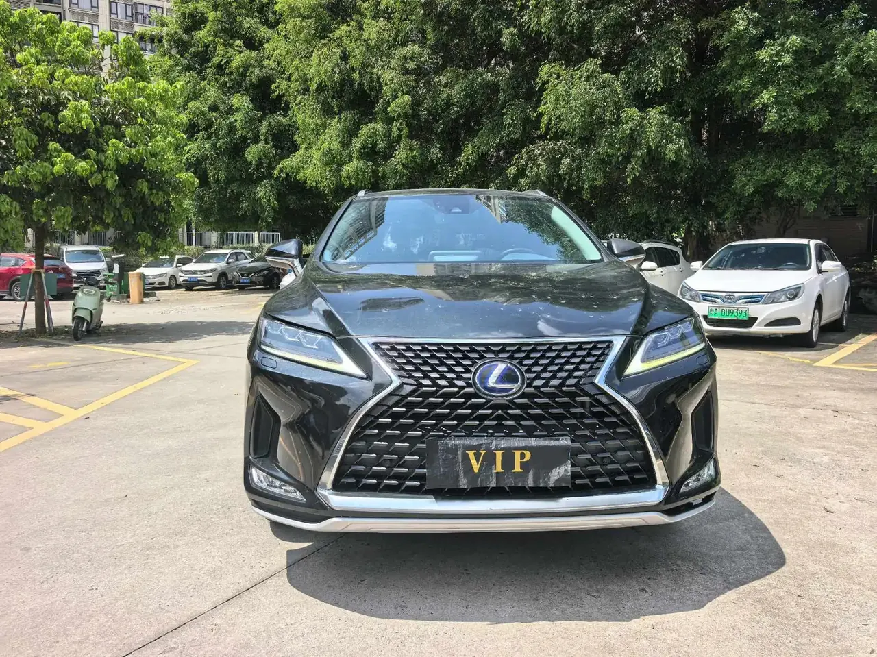 Lexus RX 2020 450h four-wheel drive elegant version of the national v 2