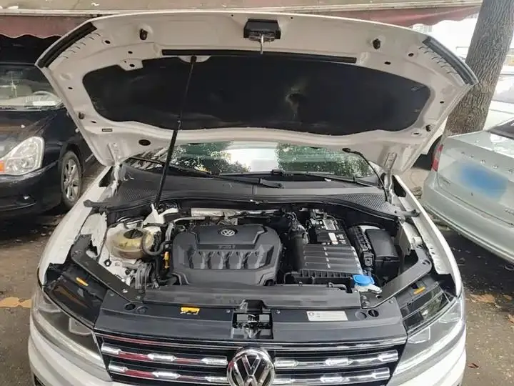 Tiguan L 2020 330TSI Auto Two-Drive Smart Deluxe Edition VI 20