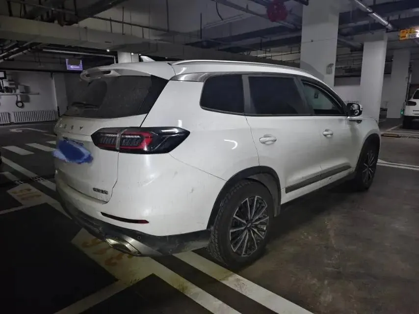 Ruihu 8 PLUS 2024 Champion Edition 290TGDI DCT Haoyue Edition 7 3