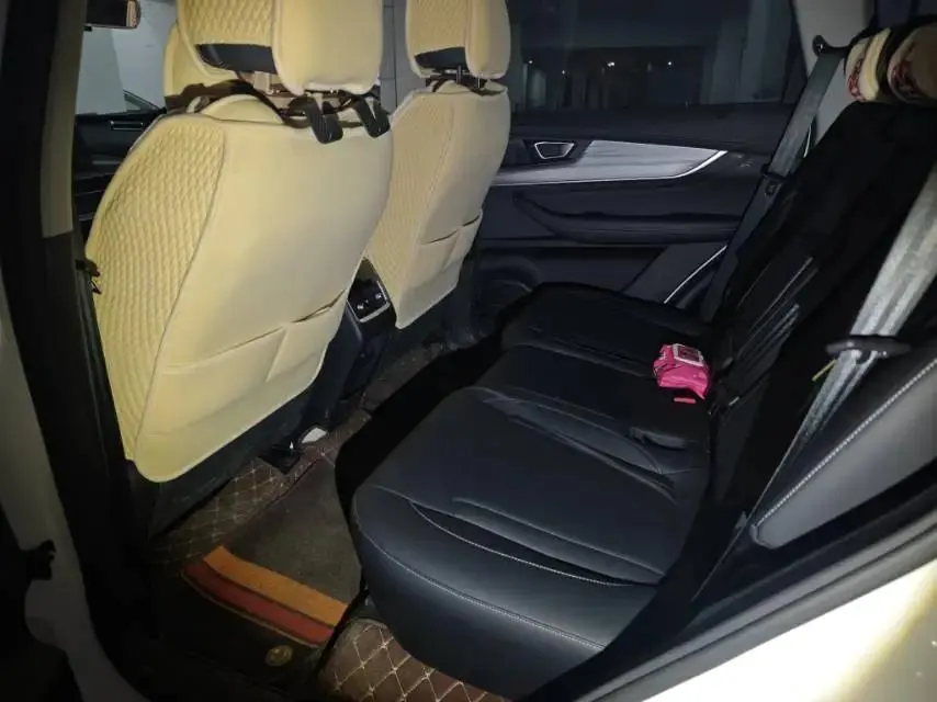Ruihu 8 PLUS 2024 Champion Edition 290TGDI DCT Haoyue Edition 7 6
