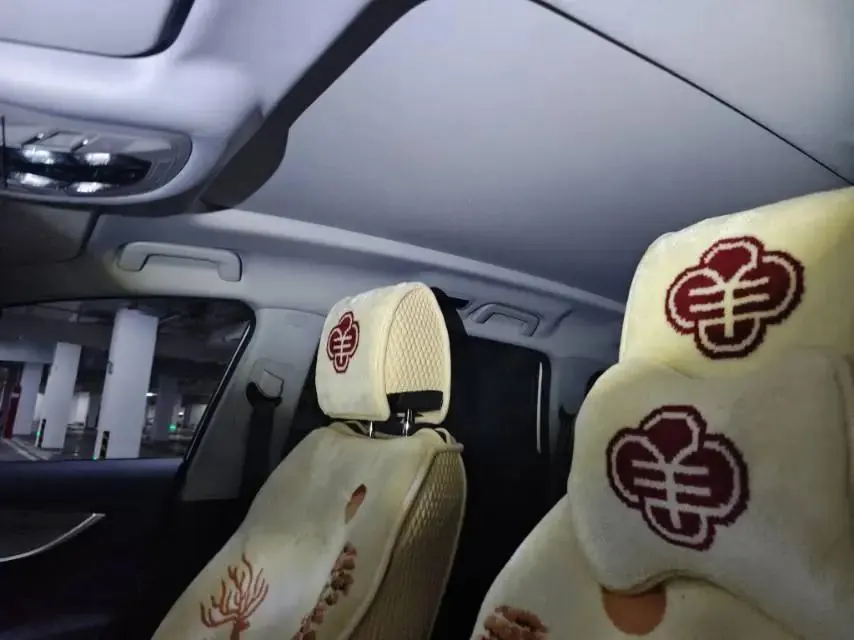 Ruihu 8 PLUS 2024 Champion Edition 290TGDI DCT Haoyue Edition 7 7