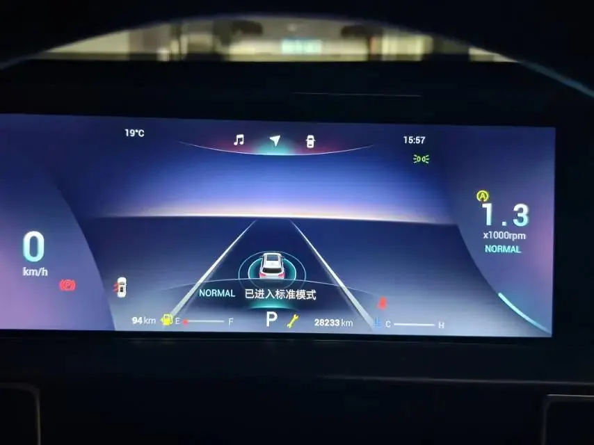 Ruihu 8 PLUS 2024 Champion Edition 290TGDI DCT Haoyue Edition 7 9