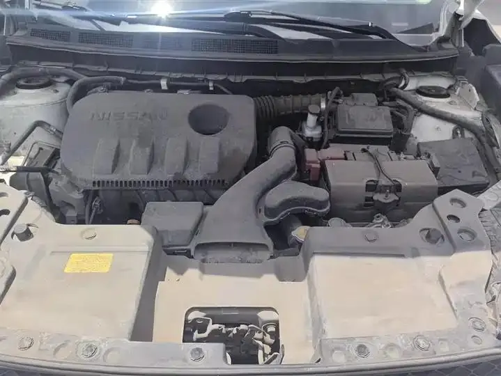 Venucia T60 2020 1.6L CVT Zhixing Edition Country VI 10