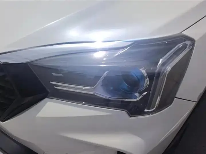 Venucia T60 2020 1.6L CVT Zhixing Edition Country VI 5