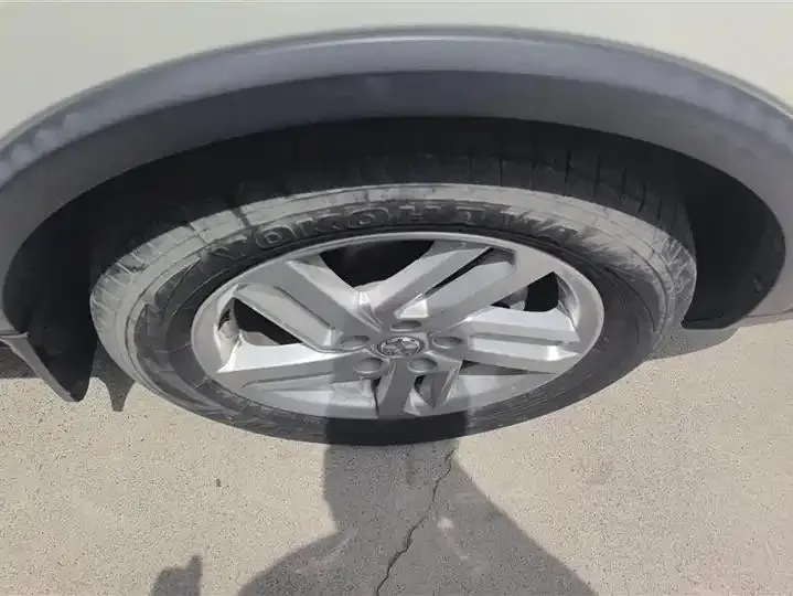 Venucia T60 2020 1.6L CVT Zhixing Edition Country VI 6