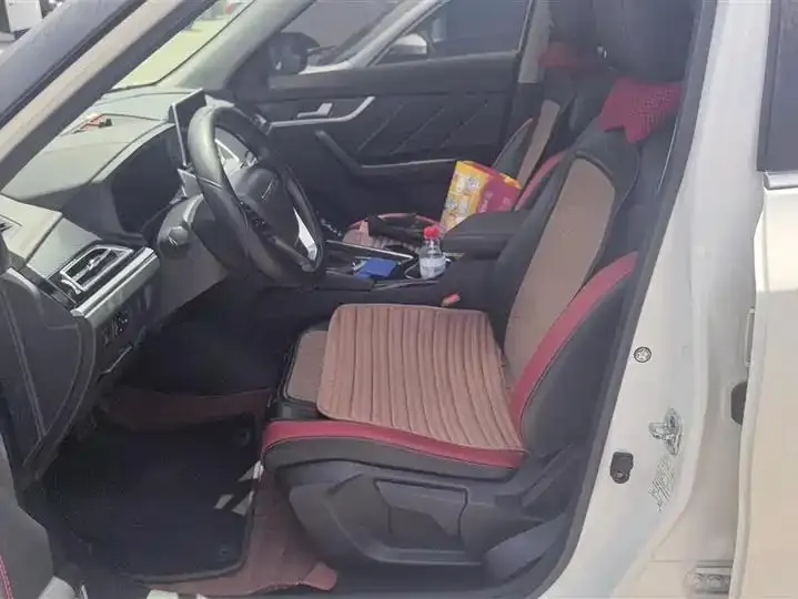 Venucia T60 2020 1.6L CVT Zhixing Edition Country VI 9