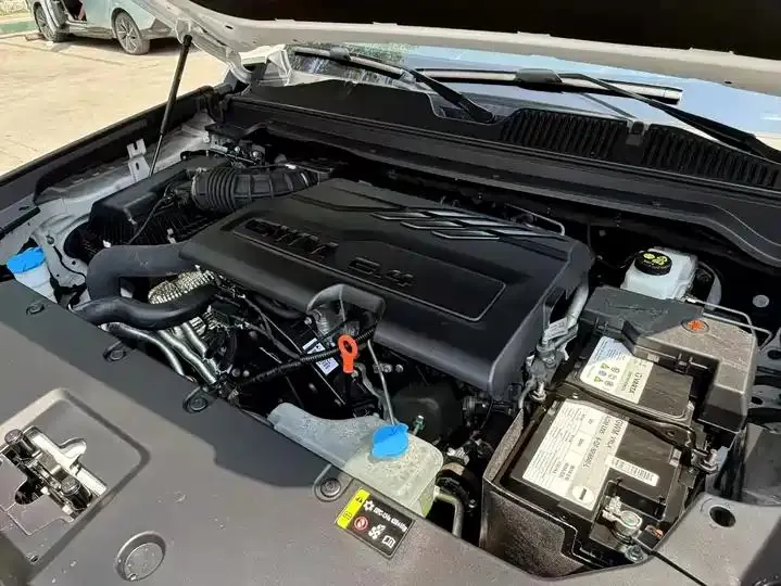Haval H9 2024 2.4T Diesel Four-wheel Drive Extreme Edition 11