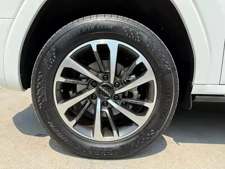 Haval H9 2024 2.4T Diesel Four-wheel Drive Extreme Edition 12