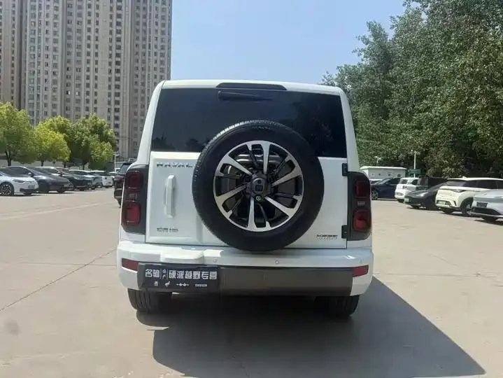 Haval H9 2024 2.4T Diesel Four-wheel Drive Extreme Edition 5
