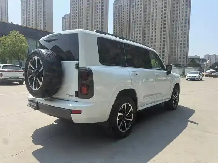Haval H9 2024 2.4T Diesel Four-wheel Drive Extreme Edition 6