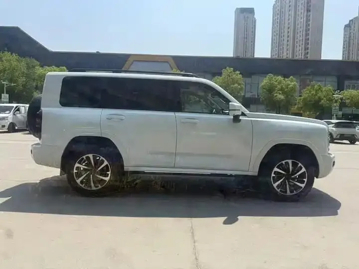 Haval H9 2024 2.4T Diesel Four-wheel Drive Extreme Edition 7