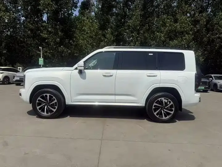 Haval H9 2024 2.4T Diesel Four-wheel Drive Extreme Edition 8