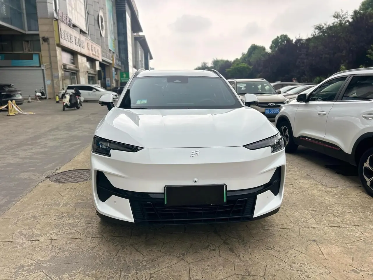 Shanhai L6 2024 Basic Model 2