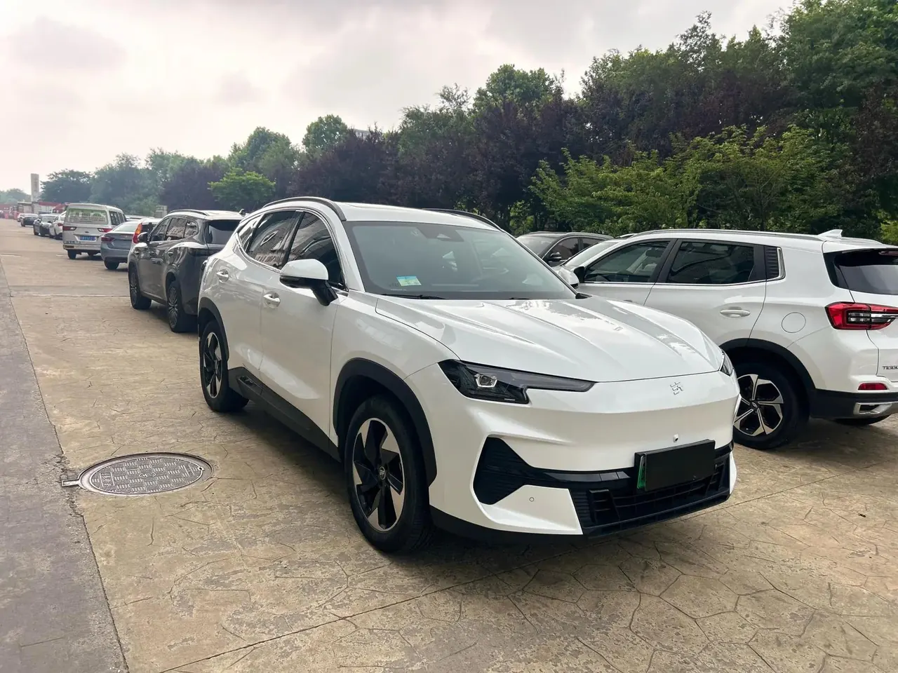 Shanhai L6 2024 Basic Model 3