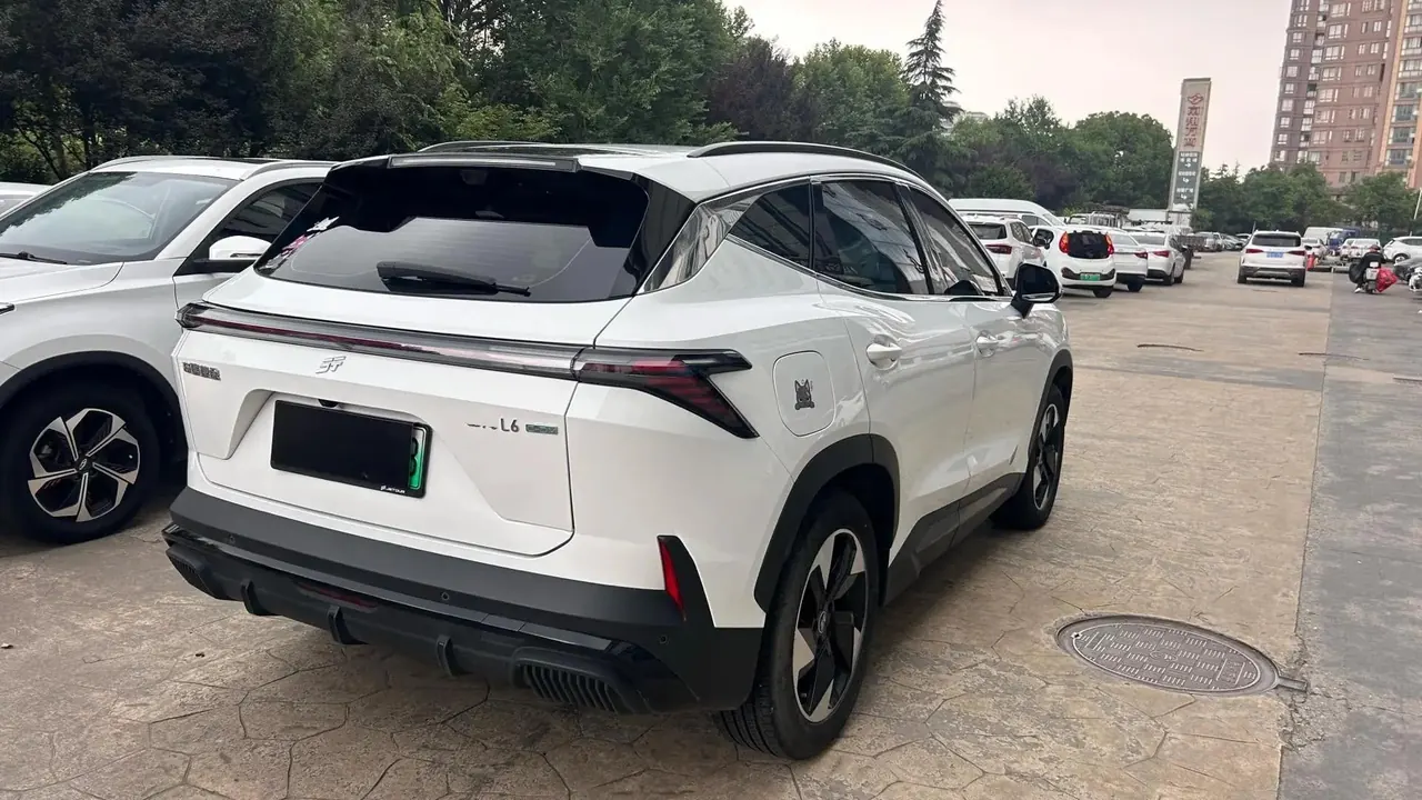 Shanhai L6 2024 Basic Model 4