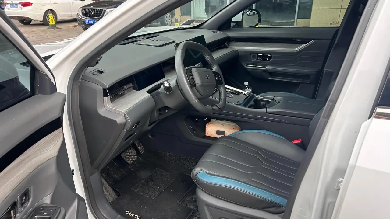 Shanhai L6 2024 Basic Model 8