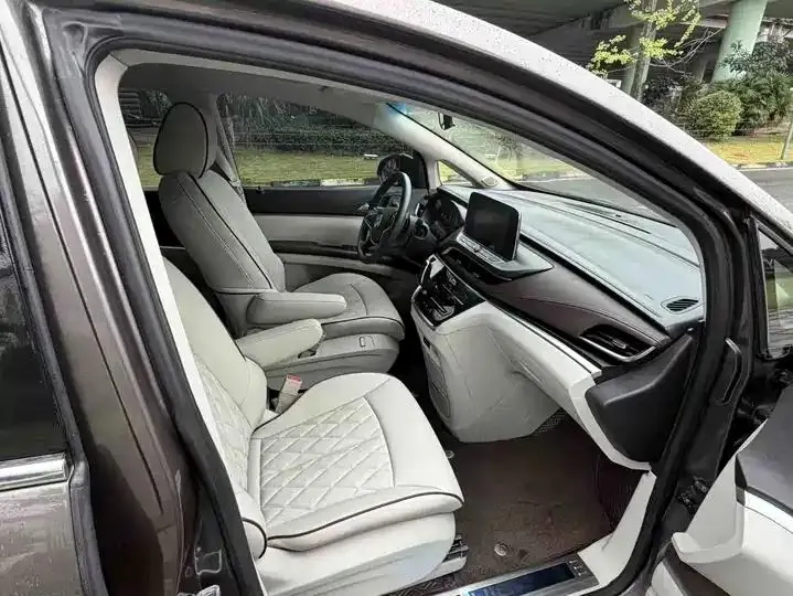 Buick GL8 2020 Land Business Class 652T Comfort Model 6