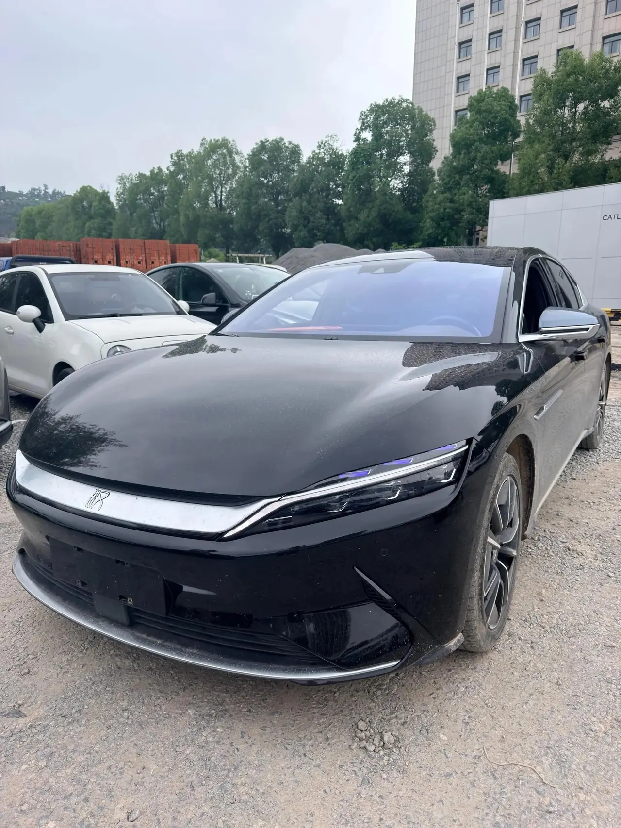 Han 2020 EV four-wheel drive high-performance flagship - View 1