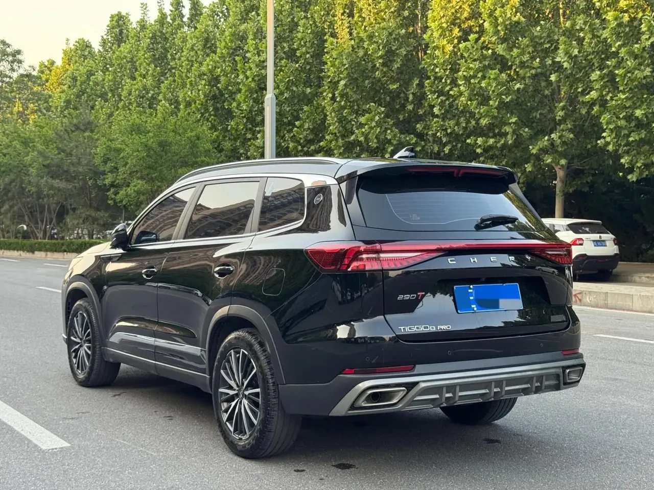 Ruihu 8 PRO 2024 Champion Edition 290T Two-Drive Peak Edition 5 9