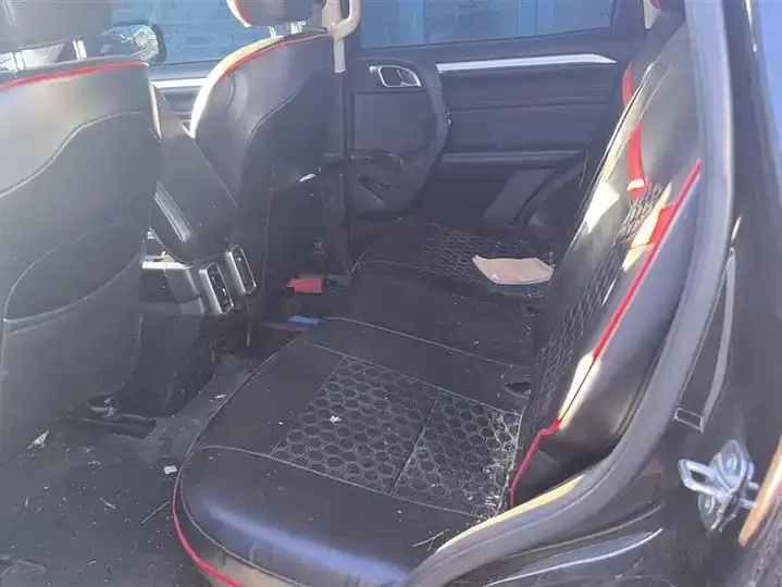 Haval big dog 2021 changed to 1.5T DCT two-wheel drive horse dog version 11