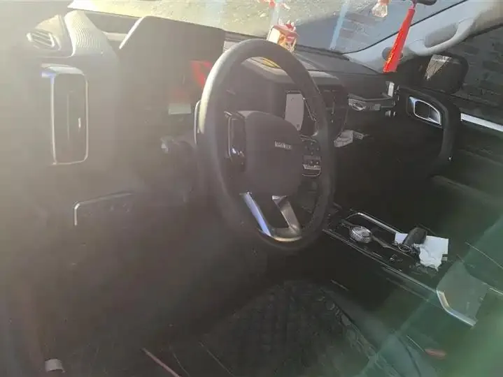 Haval big dog 2021 changed to 1.5T DCT two-wheel drive horse dog version 12