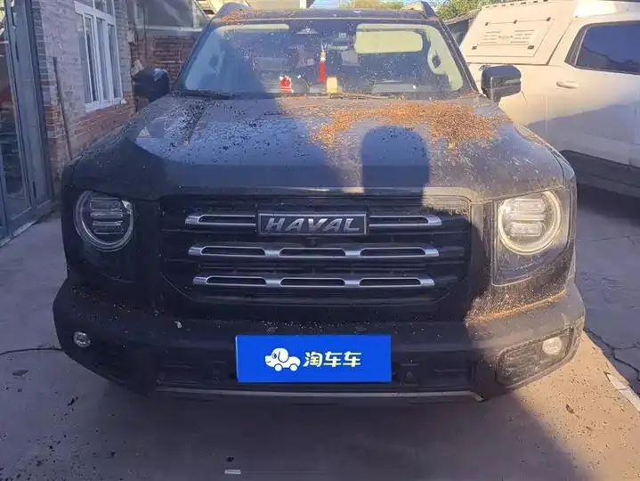Haval big dog 2021 changed to 1.5T DCT two-wheel drive horse dog version 2
