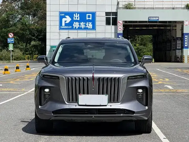 HongQi E-HS9 2024 660km flag Chang version of six 2