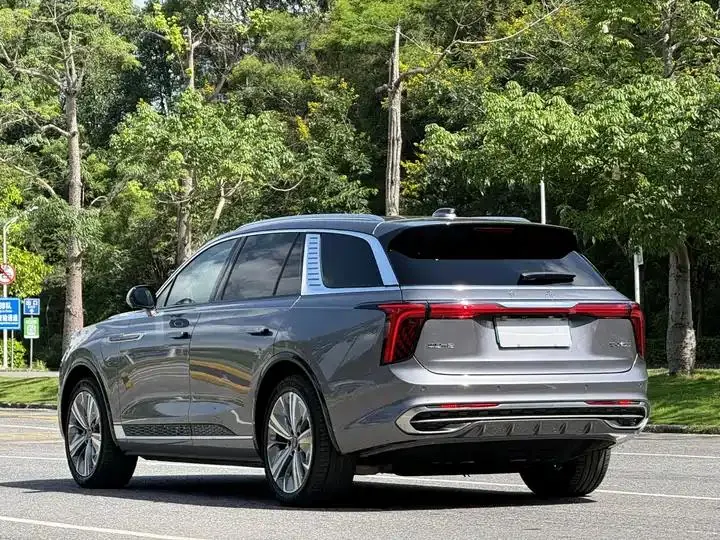 HongQi E-HS9 2024 660km flag Chang version of six 9