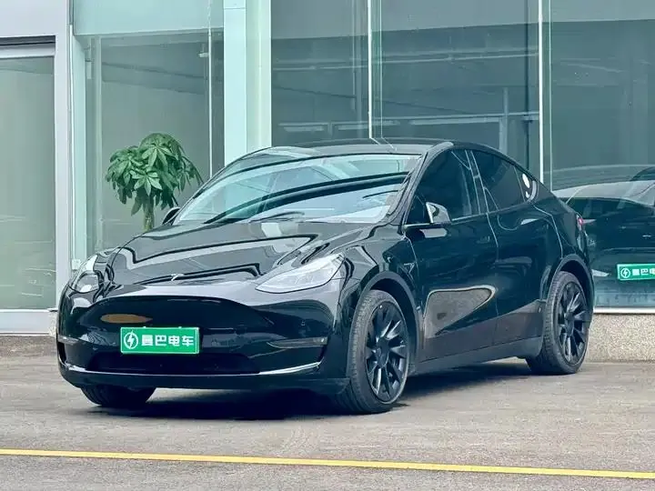 2021 Model Y Standard Range Rear-Wheel Drive Edition - View 1