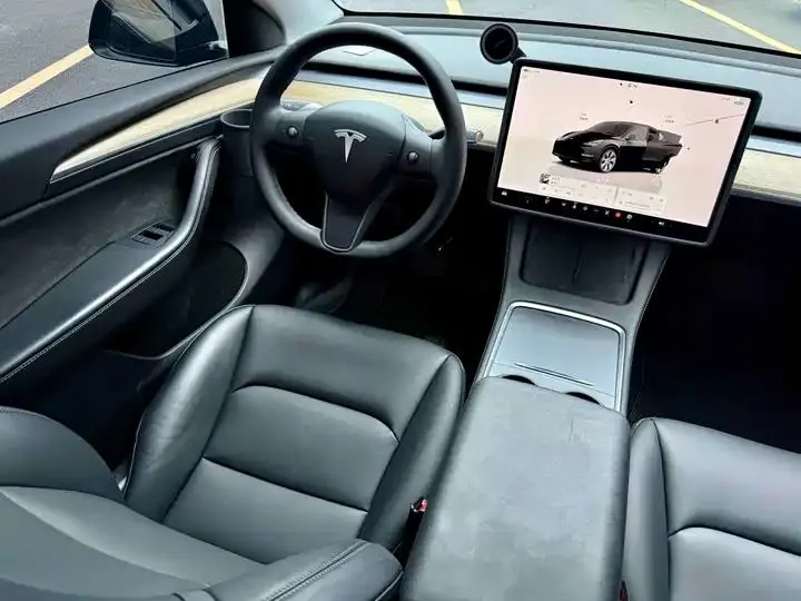 2021 Model Y Standard Range Rear-Wheel Drive Edition 10