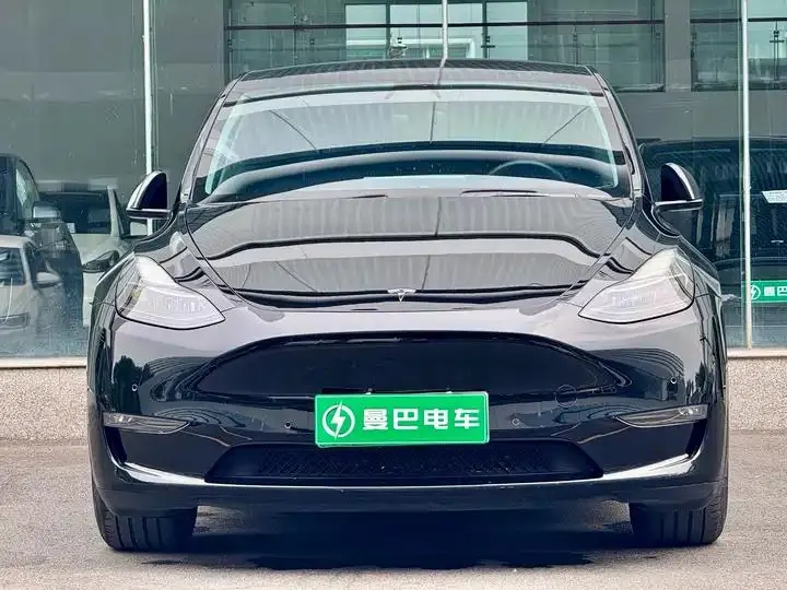 2021 Model Y Standard Range Rear-Wheel Drive Edition 2