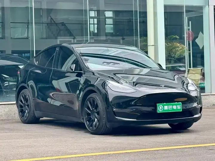 2021 Model Y Standard Range Rear-Wheel Drive Edition 3