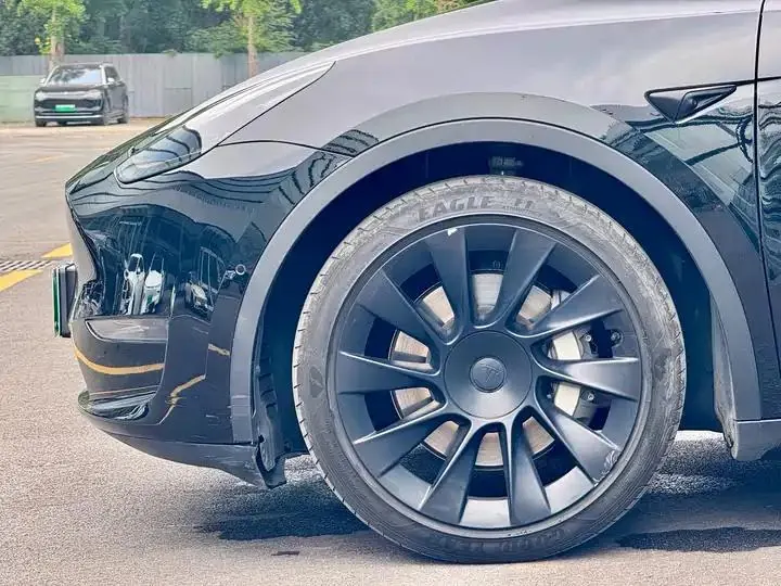 2021 Model Y Standard Range Rear-Wheel Drive Edition 5