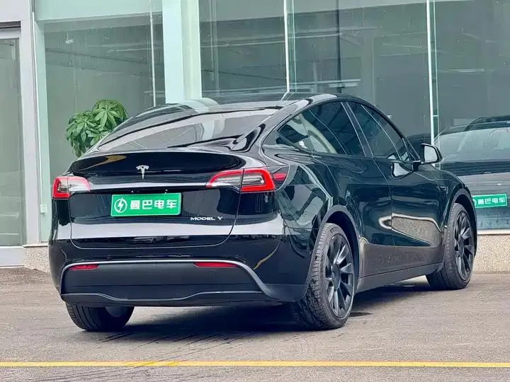 2021 Model Y Standard Range Rear-Wheel Drive Edition 6