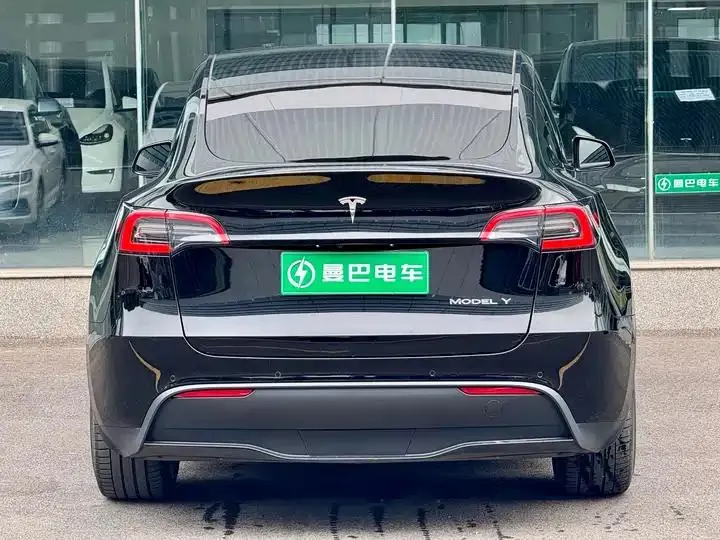 2021 Model Y Standard Range Rear-Wheel Drive Edition 7