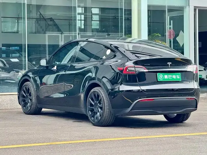 2021 Model Y Standard Range Rear-Wheel Drive Edition 8