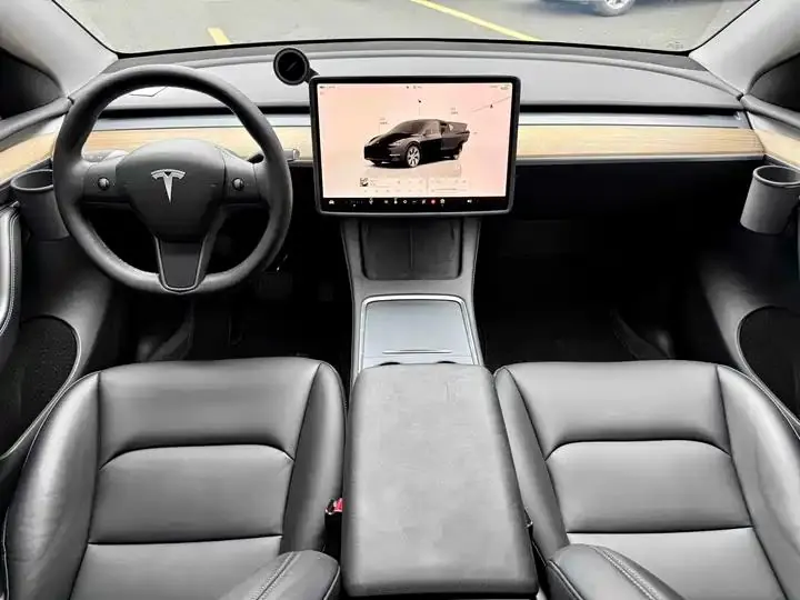 2021 Model Y Standard Range Rear-Wheel Drive Edition 9