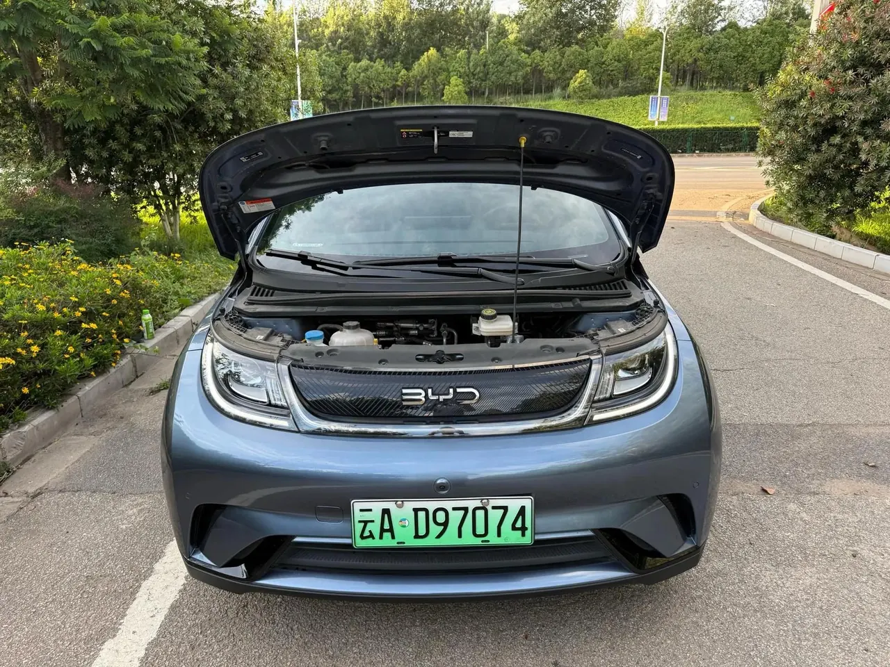 BYD 2023 Dolphin 420km Fashion Edition Automatic 19