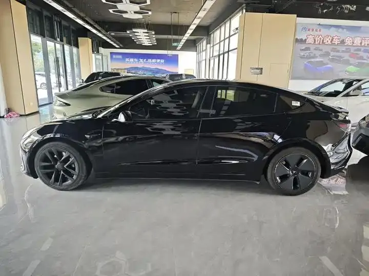 Model 3 2021 Standard Endurance Rear Drive Upgrade 3D6 3