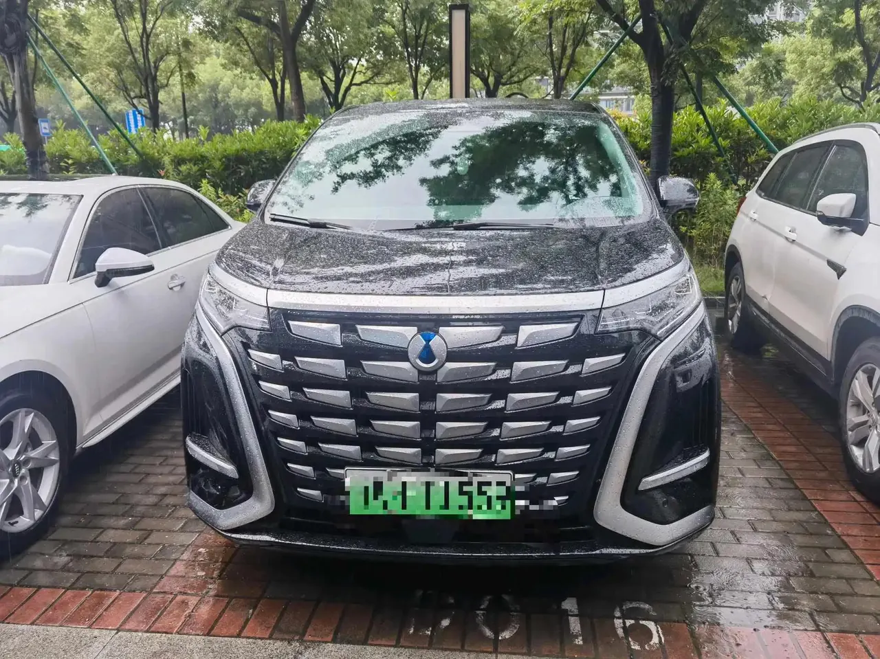 Denza D9 2022 DM-i 970 Four-Wheel-Drive Prestige Model 2