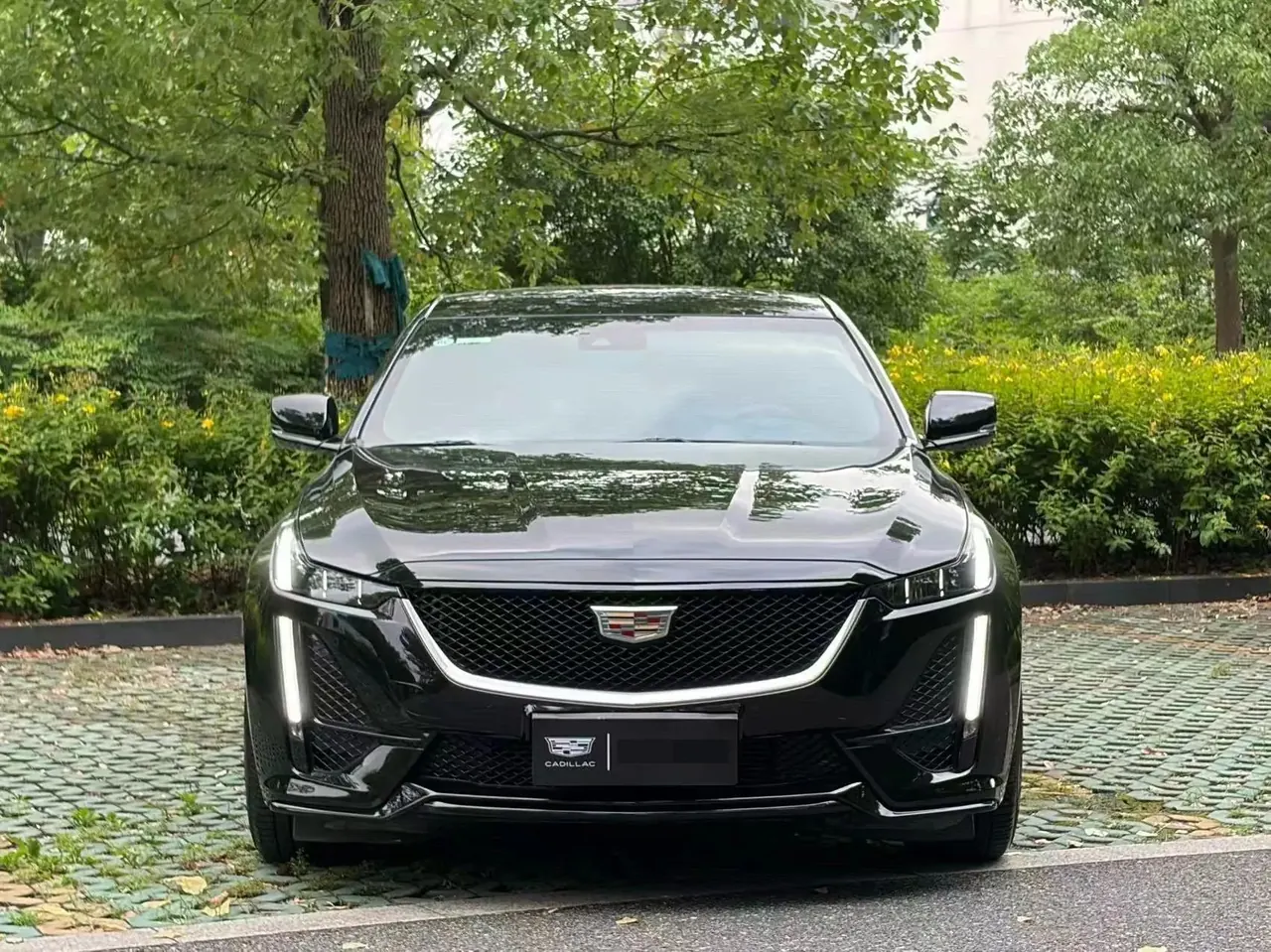 Cadillac CT5 2023 28T Honorable Model 2