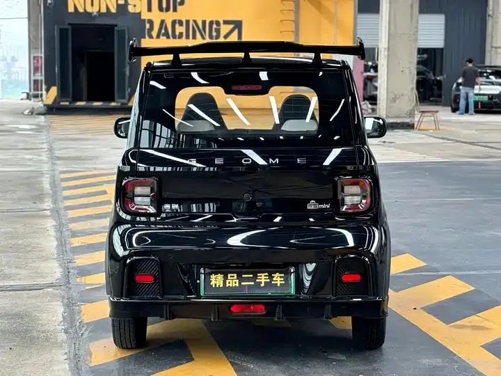 Panda 2025 210km Panda Kart 6