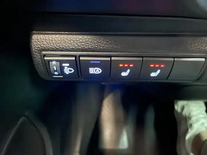 Levin 2022 185T CVT Luxury Edition 18