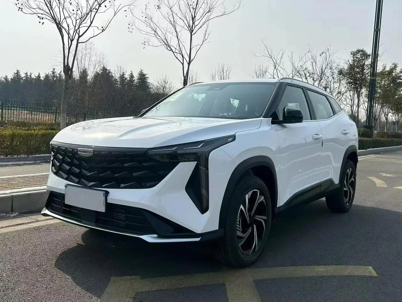 Boyue 2024 1.5TD Smart Connect - View 1