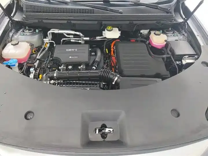 Song Pro New Energy 2025 Second Generation DM-i 115KM Excellence 10