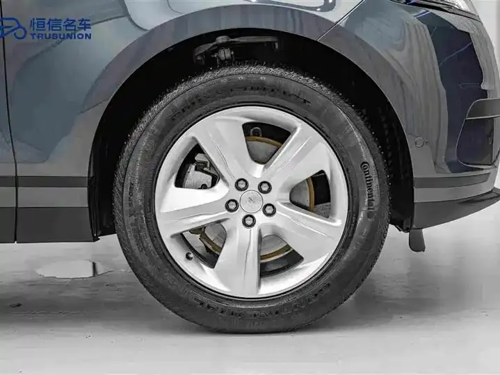 Range Rover Star Vein 2024 S 11